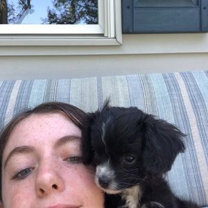 Meet your Posher, Claire